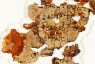 Photo: Israel Antiquities Authority, Shai Halevi　画像：イスラエル考古学庁シャイ・ハレヴィ氏